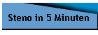 Steno in 5 Minuten