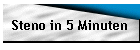 Steno in 5 Minuten